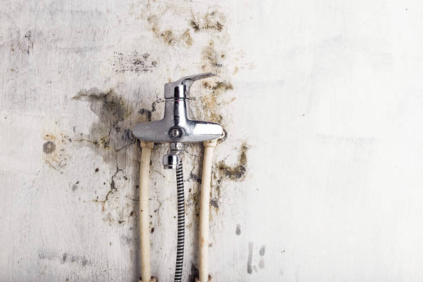 Best Post-Remediation Services in Franklin Park, NJ